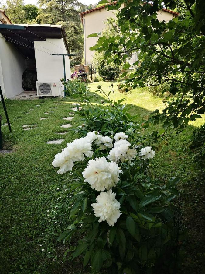 Maison 3 Etoiles Avec Jardin Pour Familles, Sportifs, Curistes... Динь-ле-Бен Экстерьер фото